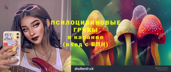 трава Армянск
